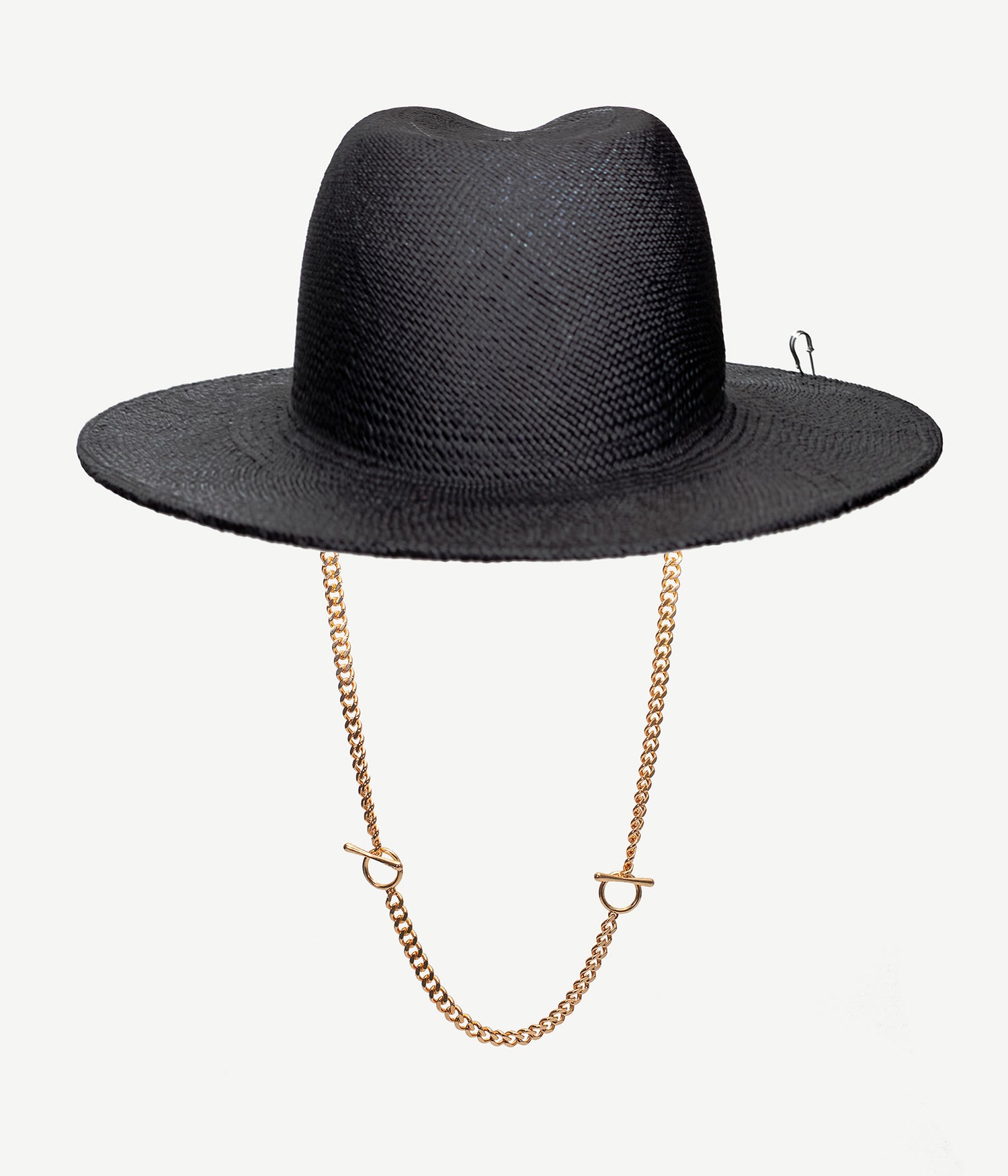 Photo, Fedora Hat, Pierced Fedora Hat