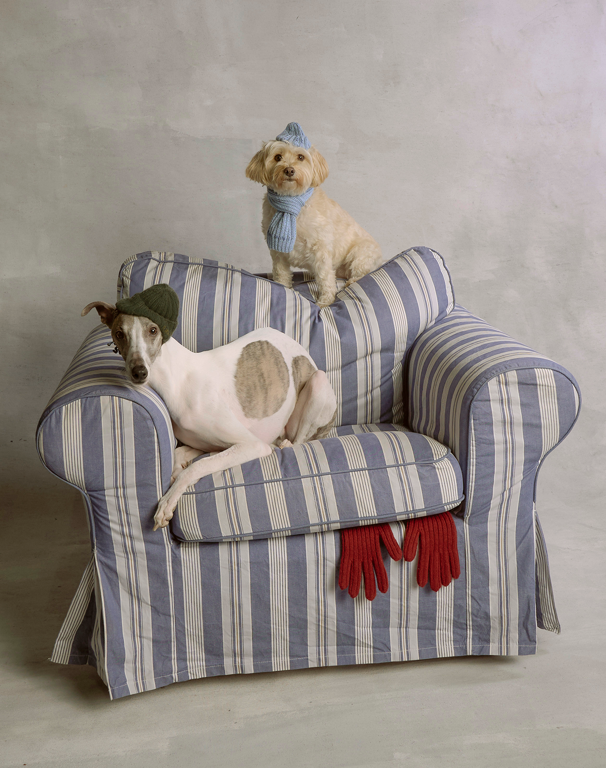 Gambler Hat • Ruslan Baginskiy Hats & Accessories - Ascension Island Gambler Hat • Ruslan Baginskiy Hats & Accessories - Ascension Island